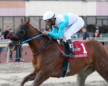 Fenton Forever - Horse Profile - BloodHorse