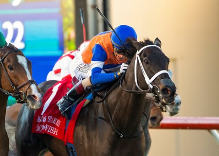 Sacred Wish wins the Matriarch Stakes at Del Mar