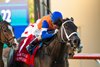 Sacred Wish and jockey John Velazquez win the Grade I $300,000 Matriarch Stakes Sunday, December 1, 2024 at Del Mar Thoroughbred Club, Del Mar, CA.
Benoit Photo
 