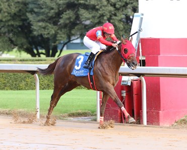 Starler Racing Statler - Horse Profile - BloodHorse