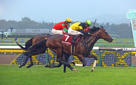 Panja Tower wins the Keio Hai Nisai Stakes at Tokyo Racecourse