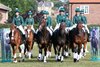 Ex-racehorses participate in the RoR Musical Ride