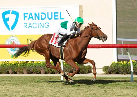 Amorita breaks her maiden at Del Mar