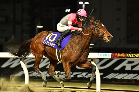 Myriad Love wins the Zen-Nippon Nisai Yushun a Kawasaki Racecourse