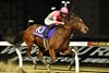 Myriad Love, ridden by Atsuya Nishimura wins the 2024 Zen-Nippon Nisai Yushun at Kawasaki Racecourse