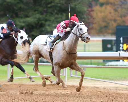 Sandman wins an allowance optional claimer at Oaklawn Park