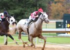 Sandman - AOC - Oaklawn - 121324