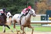 Sandman - AOC - Oaklawn - 121324