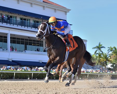 Mystic Lake wins the 2024 Sugar Swirl Stakes at Gulfstream Park