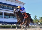 Mystic Lake, Sugar Swirl Stakes, Gulfstream, December 21, 2024