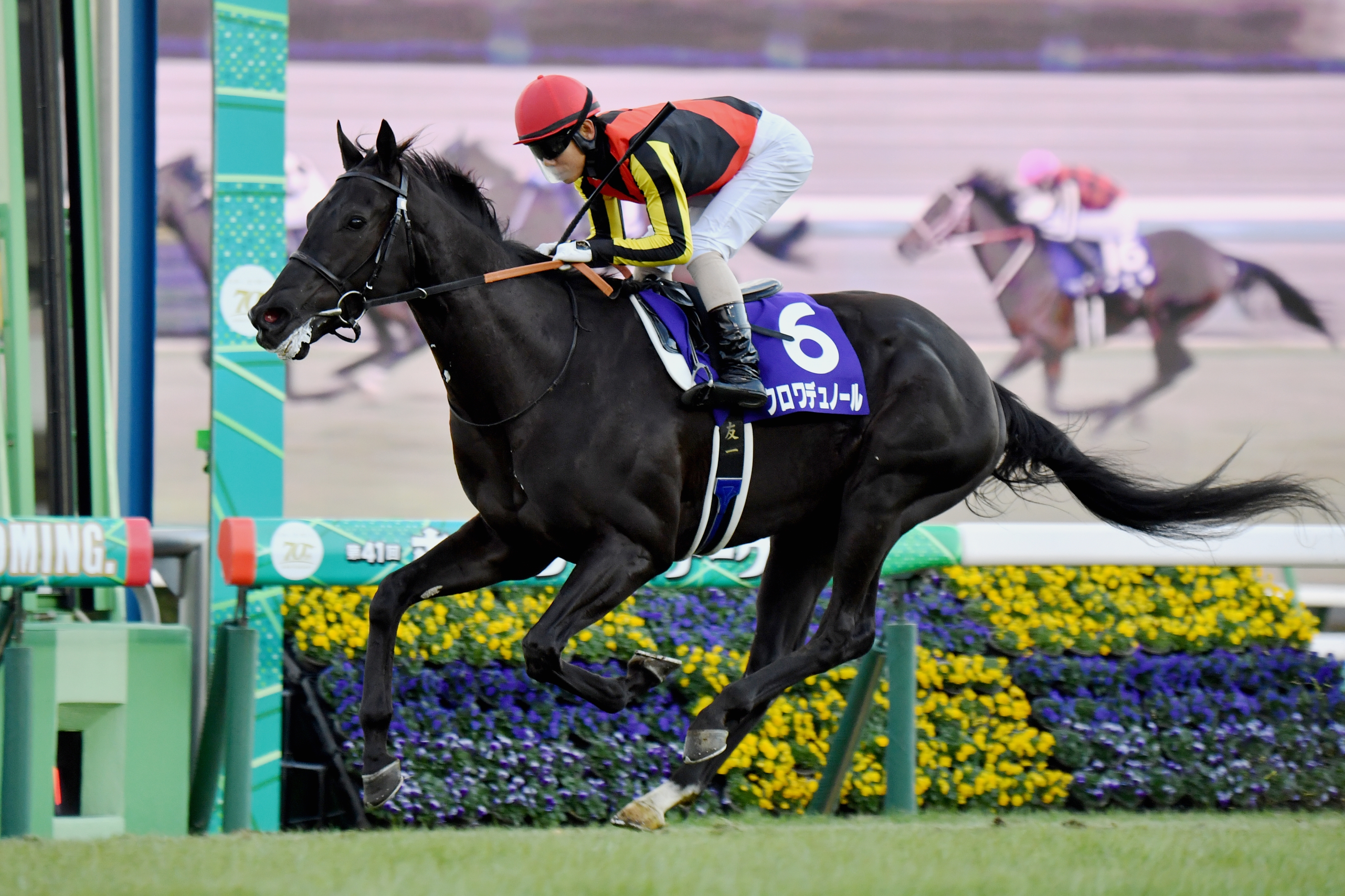 f5d6395babe544b694777e3d98a960