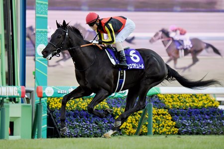 Croix du Nord wins the 2024 Hopeful Stakes at Nakayama Racecourse