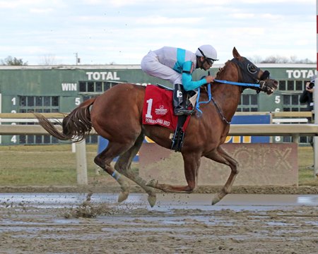 Fenton Forever wins his first stakes in the Dec. 30 Wait For It Stakes at Parx Racing