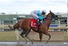 Fenton Forever wins the Wait for It Stakes on December 30, 2024 at Parx Racing 