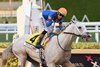 White Abarrio wins the 2025 Pegasus World Cup Invitational Stakes at Gulfstream Park