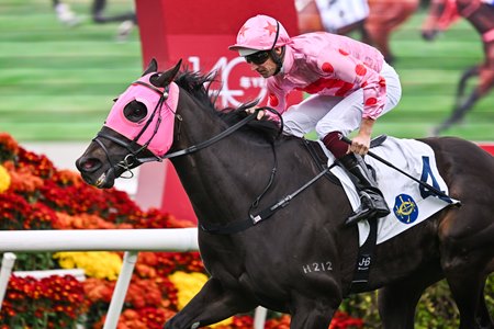 Chancheng Glory wins the Centenary Vase Handicap at Sha Tin Racecourse