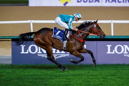 Romantic Warrior wins the Jebel Hatta at Meydan Racecourse