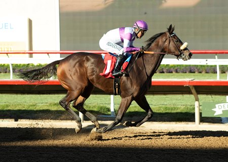 Look Forward breaks her maiden at Del Mar