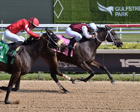 Queen of Soul holds on to break her maiden at Gulfstream Park