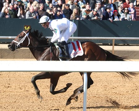 Rapture breaks his maiden at Oaklawn Park