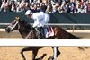 Rapture, Maiden Win, Oaklawn Park, January 25 2025