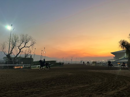 Santa Anita Park has been open for morning training since Thursday