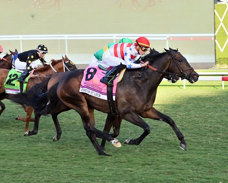 Sprit of St Louis wins the Pegasus World Cup Turf Invitational Stakes at Gulfstream Park