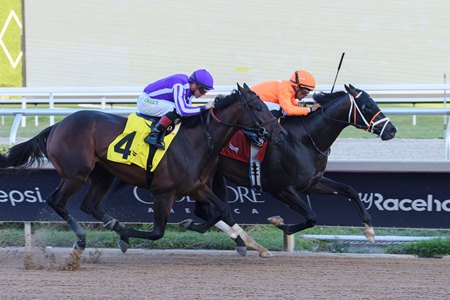 Guns Loaded (inside) wins the Mucho Macho Man Stakes at Gulfstream Park