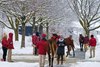 Prospective buyers looking over yearlings at Taylor Made
Keeneland January Sales at Keeneland near Lexington, Ky. on Jan. 11, 2025. 