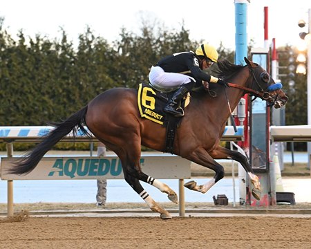 Cyclone State wins the Jerome Stakes at Aqueduct Racetrack