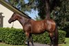 2025 Inglis Digital January (Late) Online Sale, Lot 512