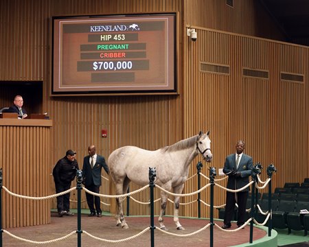 Pretty Birdie, consigned as Hip 453, sells for $700,000 during Keeneland's January Sale