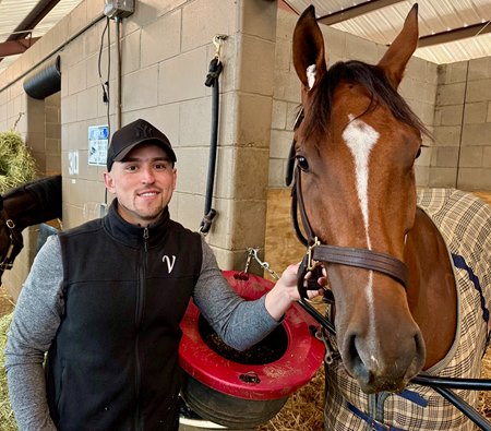 Nick Vaccarezza with Golden Afternoon