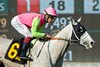 Valpredo Family Trust’s Shocking Grey and jockey Antonio Fresu win the $125,000 Sunshine Millions Filly and Mare Turf Sprint Saturday, January 18, 2025 at Santa Anita Park, Arcadia, CA.