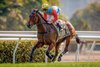 Ka Ying Rising with Zac Purton wins the Centenary Sprint Cup at Sha Tin Racecourse in Hong Kong, China on January 19, 2025. Photo by: Alex Evers / HKJC