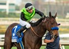 Jockey Kazushi Kimura guides Richi to the winner&#39;s circle after their victory in the Grade III $100,000 Las Flores Stakes Saturday January 4, 2025 at Santa Anita Park, Arcadia, CA, giving trainer Bob Baffert his second stakes win and fourth win on the day.
Benoit Photo