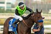 Jockey Kazushi Kimura guides Richi to the winner&#39;s circle after their victory in the Grade III $100,000 Las Flores Stakes Saturday January 4, 2025 at Santa Anita Park, Arcadia, CA, giving trainer Bob Baffert his second stakes win and fourth win on the day.
Benoit Photo