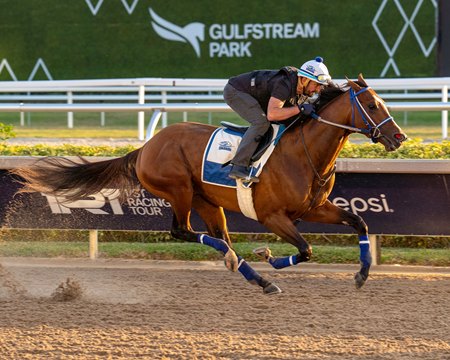 Mystik Dan trains for the Pegasus World Cup Invitational Stakes at Gulfstream Park