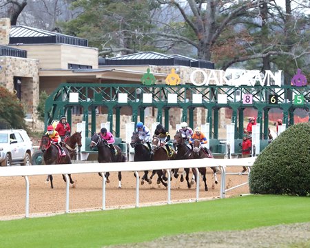 The start of the 2025 Smarty Jones Stakes at Oaklawn Park, which was won by Coal Battle