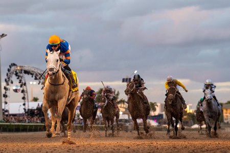 White Abarrio rolls in the Pegasus World Cup Invitational Stakes at Gulfstream Park