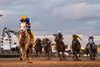 White Abarrio and Irad Ortiz win The Pegasus World Cup Invitational, Gulfstream Park, Hallandale Beach, FL, 1-25-25, Mathea Kelley