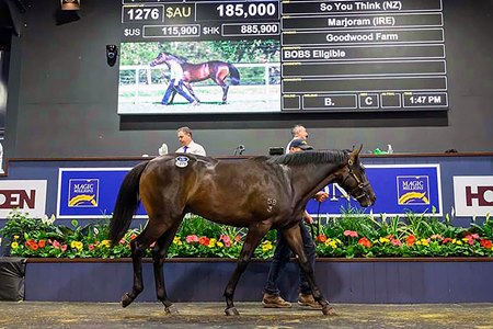 Lot 1276 brings AU$185,000 on the last day of the Magic Millions Gold Coast Yearling Sale