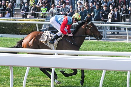 Ka Ying Rising and Zac Purton win the Centenary Sprint Cup at Sha Tin Racecourse