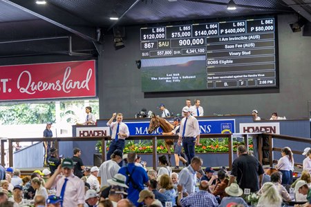 Bidding takes place at the Magic Millions Gold Coast Yearling Sale