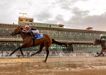 Simply Joking wins the Silverbulletday Stakes at Fair Grounds Race Course