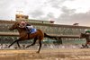 1/18/2025 - Jockey Joel Rosario pilots Stir Crazy to victory in the 31st running of the Marie G. Krantz Memorial Stakes at Fair Grounds.  Hodges Photography / Amanda Hodges Weir