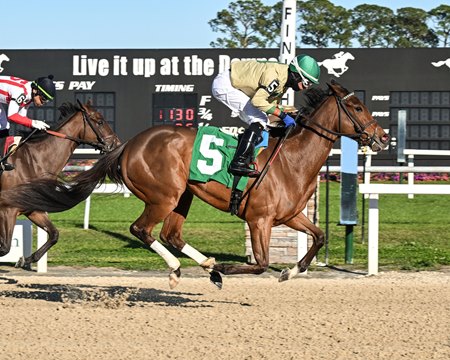 Flight of Fancy breaks her maiden at Tampa Bay Downs