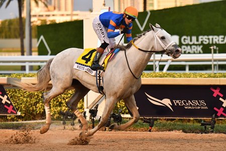 White Abarrio wins the Pegasus World Cup Invitational Stakes at Gulfstream Park