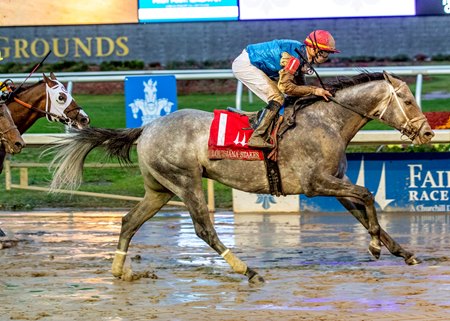 Hit Show wins the Louisiana Stakes at Fair Grounds Race Course