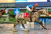 1/18/2025  -  Hit Show with Florent Geroux aboard wins the 79th running of the Grade III $175,000 Louisiana Stakes.  Hodges Photography / Lou Hodges, Jr.